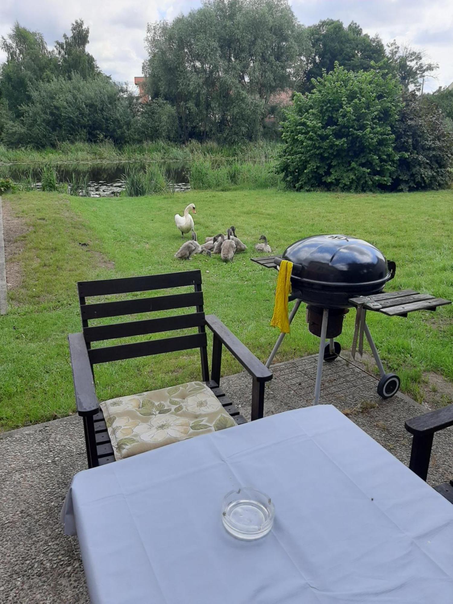 Apartament Nad Woda Marzecino Екстериор снимка